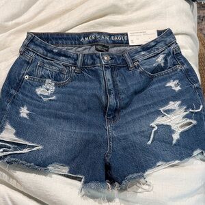 American Eagle Outfitters Women's Ripped Blue Jean Shorts